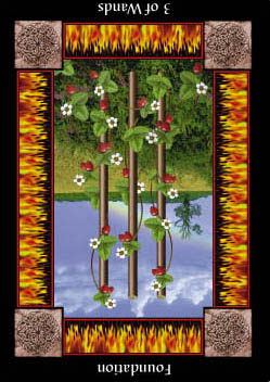 تاروت نوع دوم