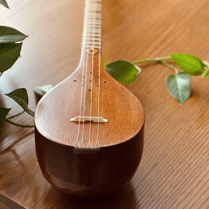 سه‌تار
