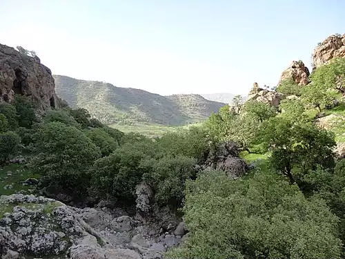 بدره