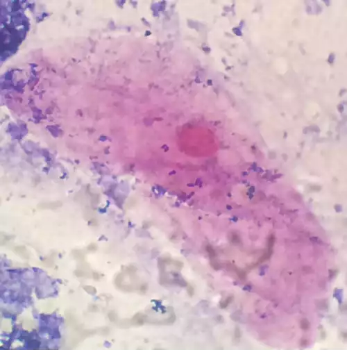 رنگ‌آمیزی گرم