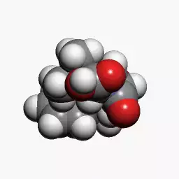 آمپی‌سیلین