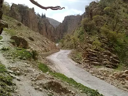 زرده