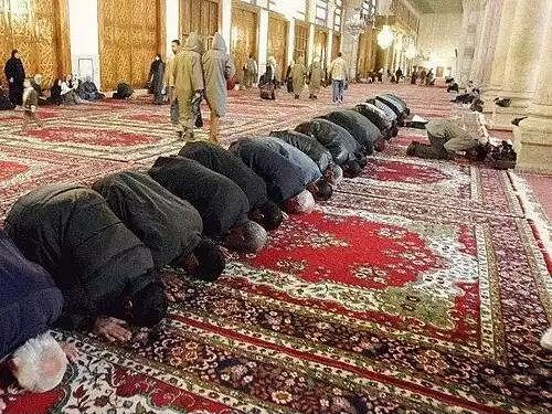 سجده