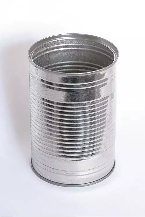 قوطی