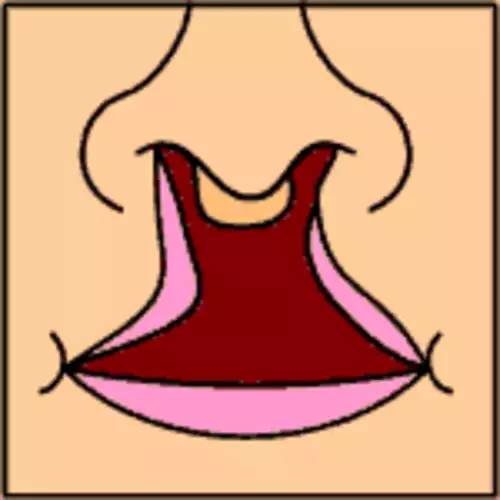 لب شکری