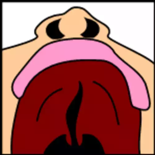 لب شکری