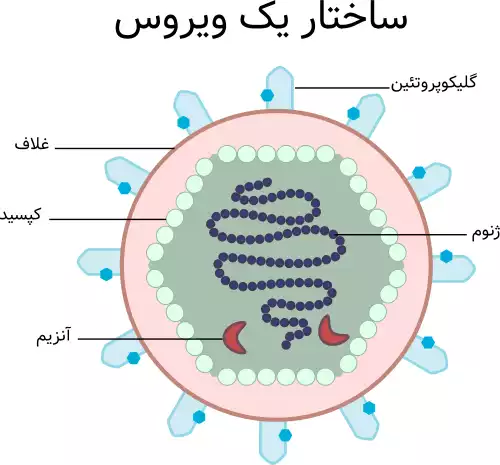 ویروس