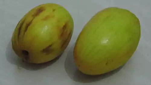 کنار