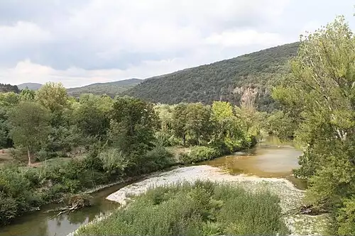 گار