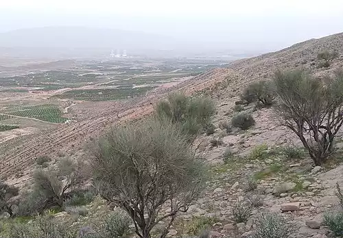 گرم