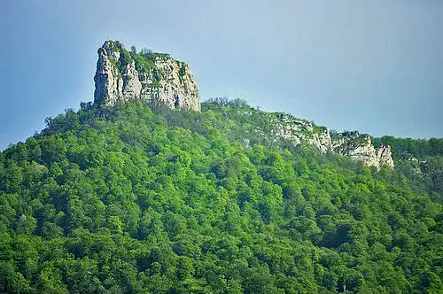 گریوه