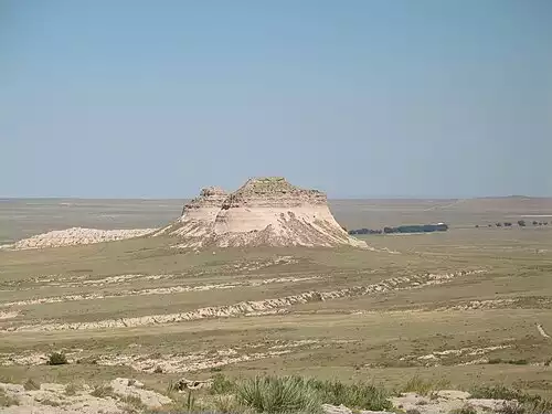گریوه