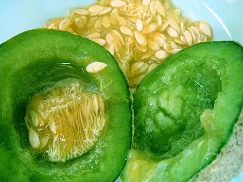 طالبی