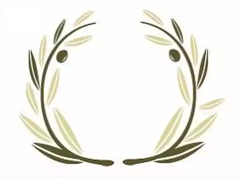 زیتون