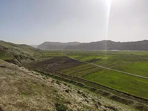تشکی