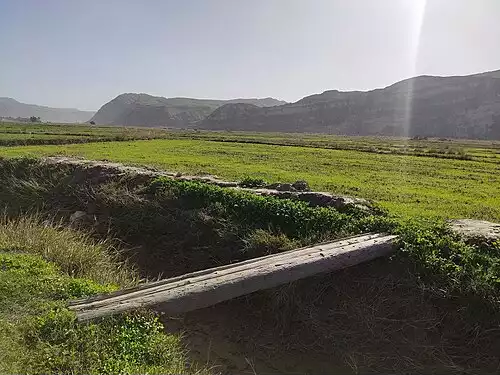 تشکی