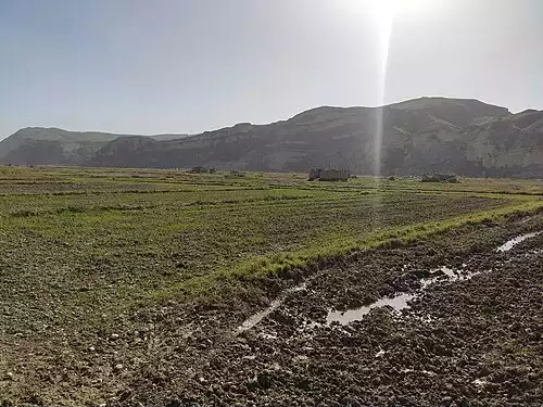 تشکی