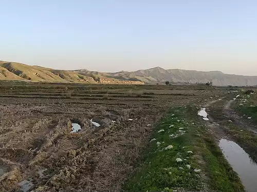 تشکی