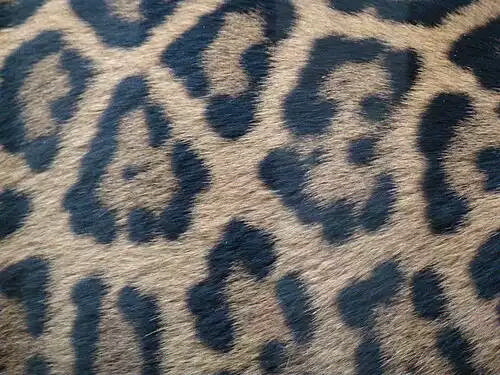 خال