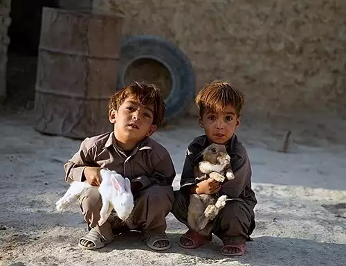 خمر