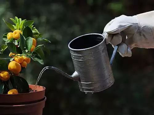 تاکستان