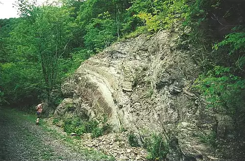 تاقدیس