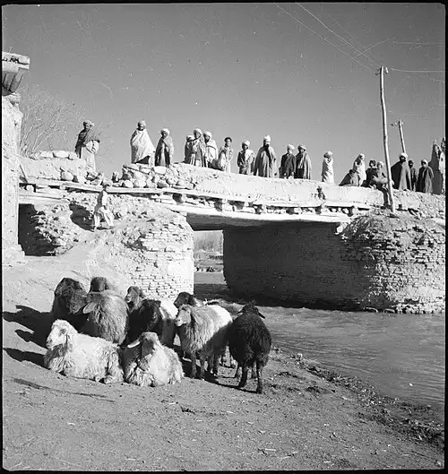 غزنی