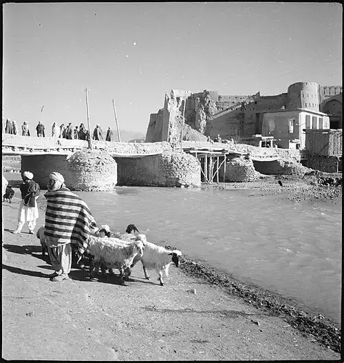 غزنی