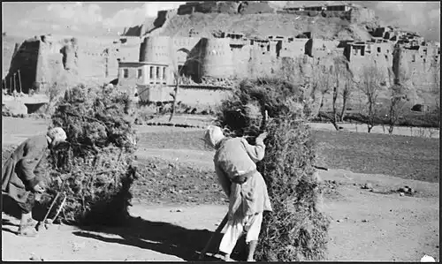 غزنی