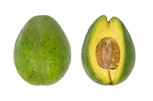 آووکادو