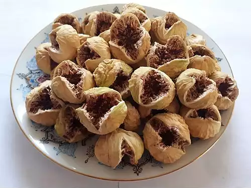 انجیر