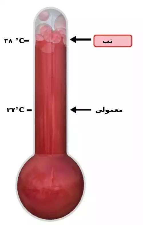 تب