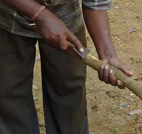 دارچین