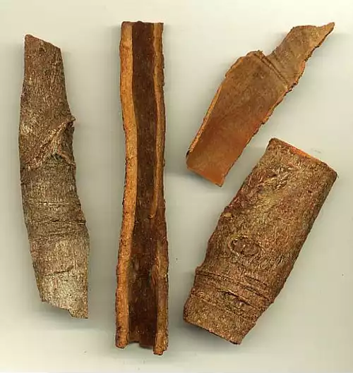 دارچین