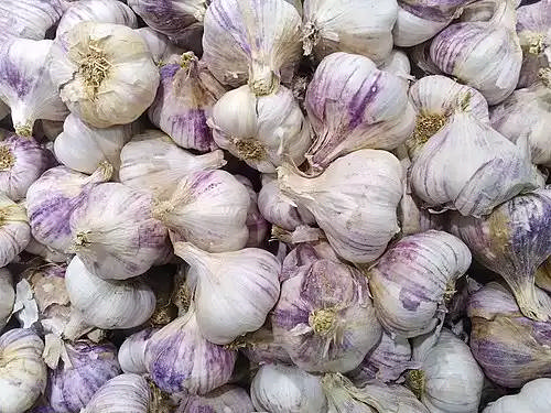 سير