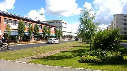 کارینا