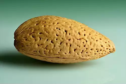 میوه