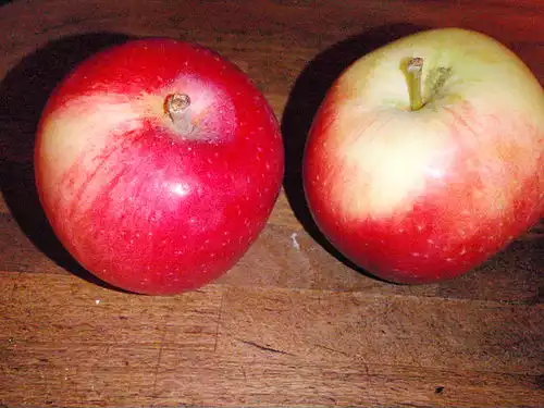 میوه