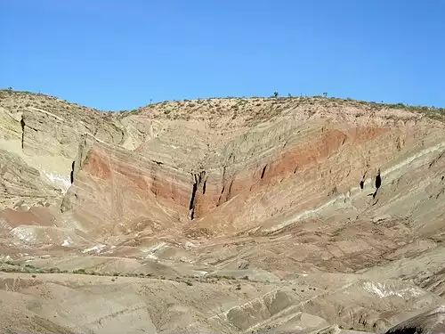 ناودیس