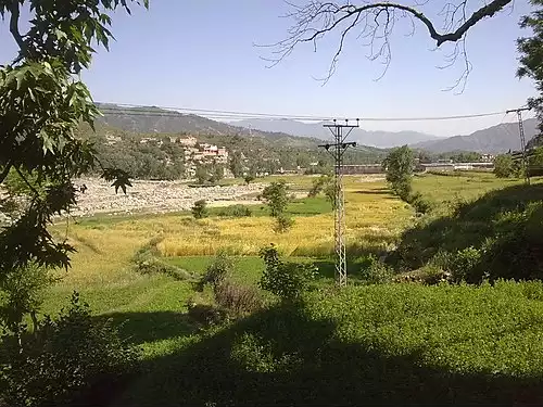 چناران