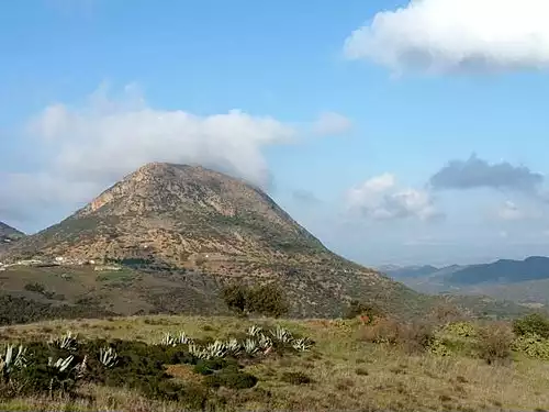 هنین