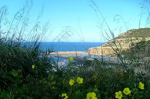 هنین