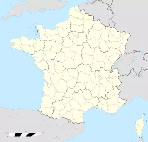 ارجی