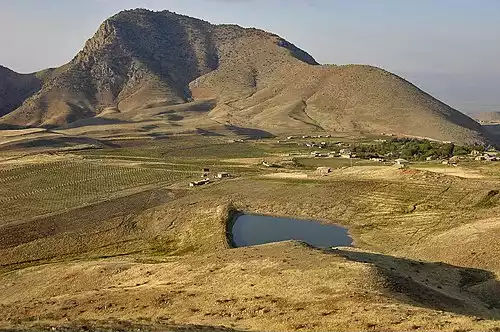 ارنی
