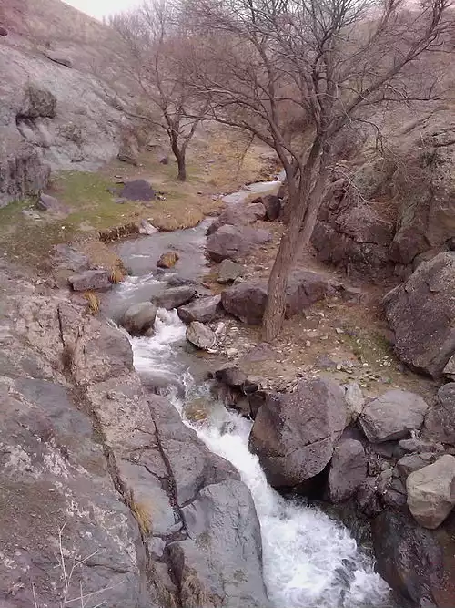 باراجین