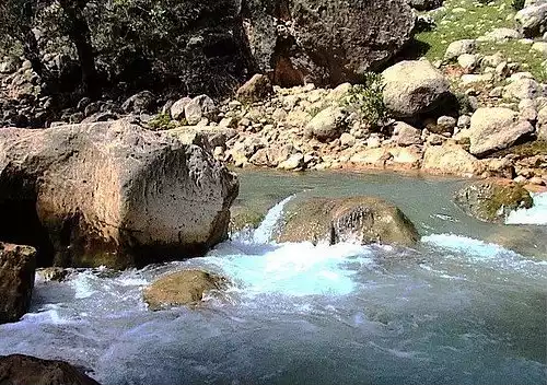 خومه زار