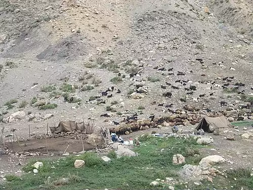 خچیره
