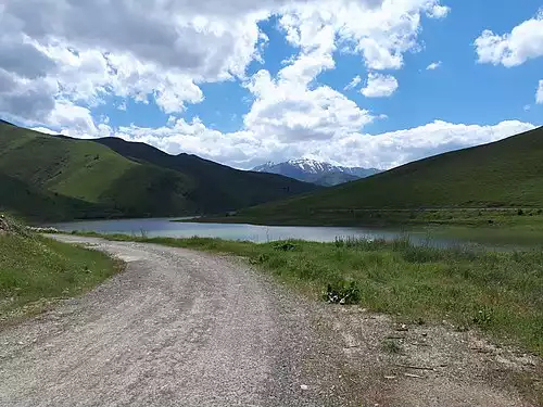 زنوری