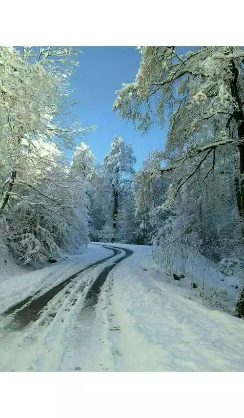 شیرکلا