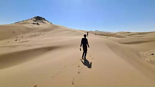 بیابان گردی